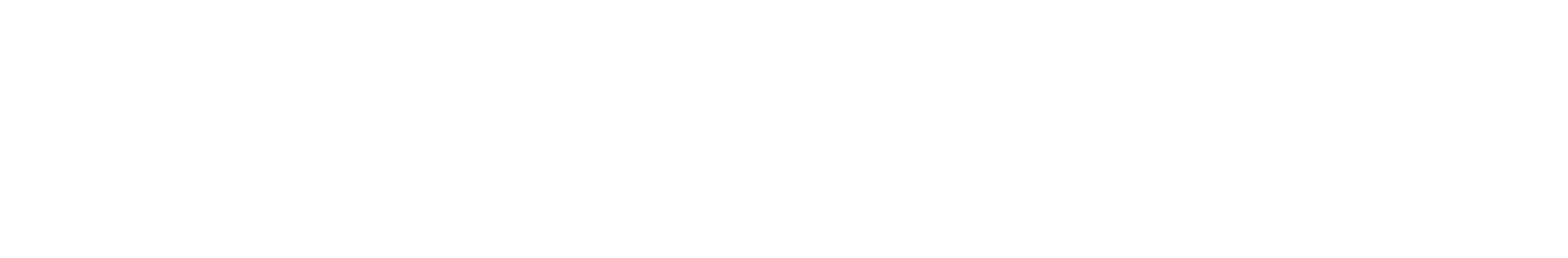 Logo NLVA Support